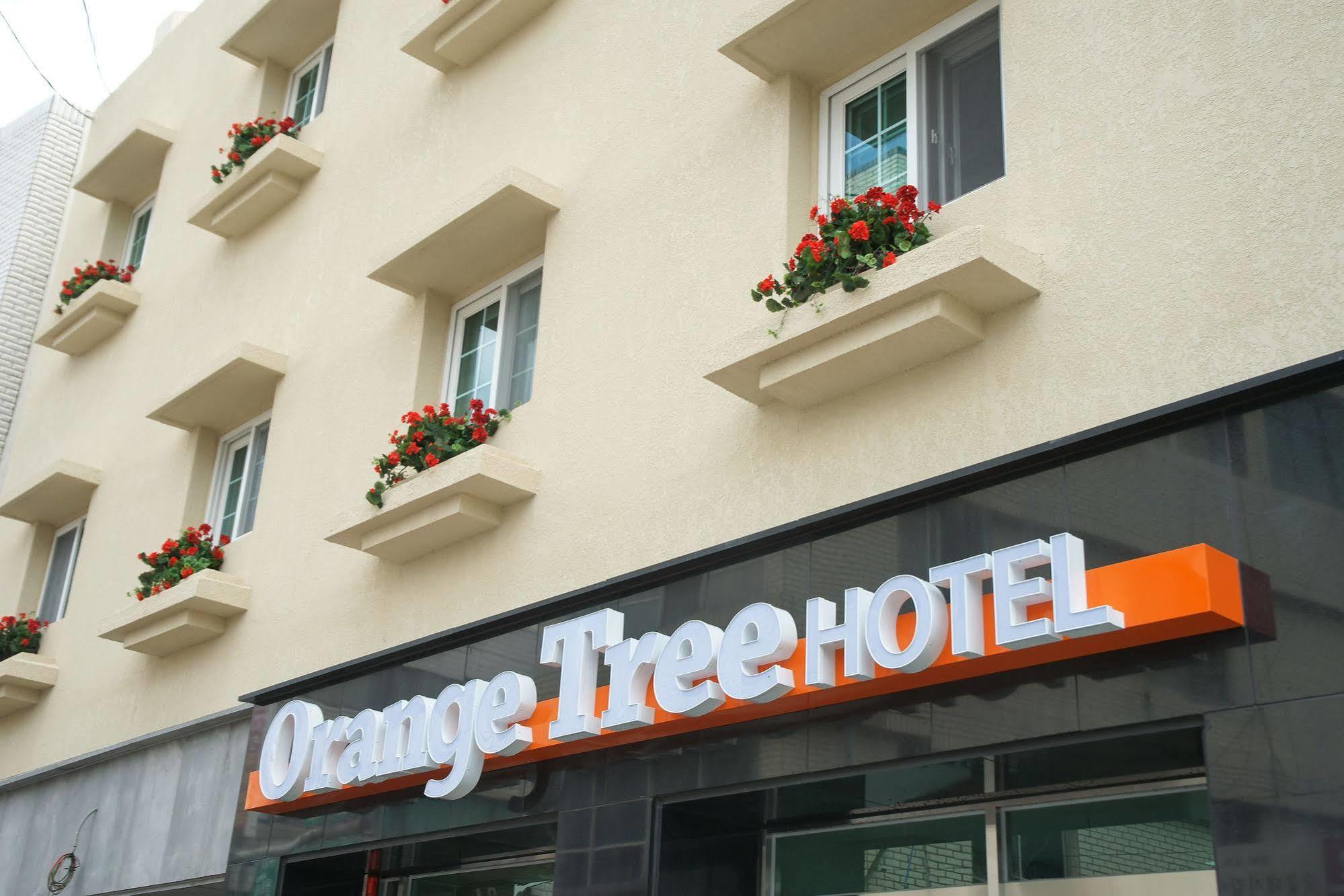 Orange Tree Hotel Jeju Exterior foto