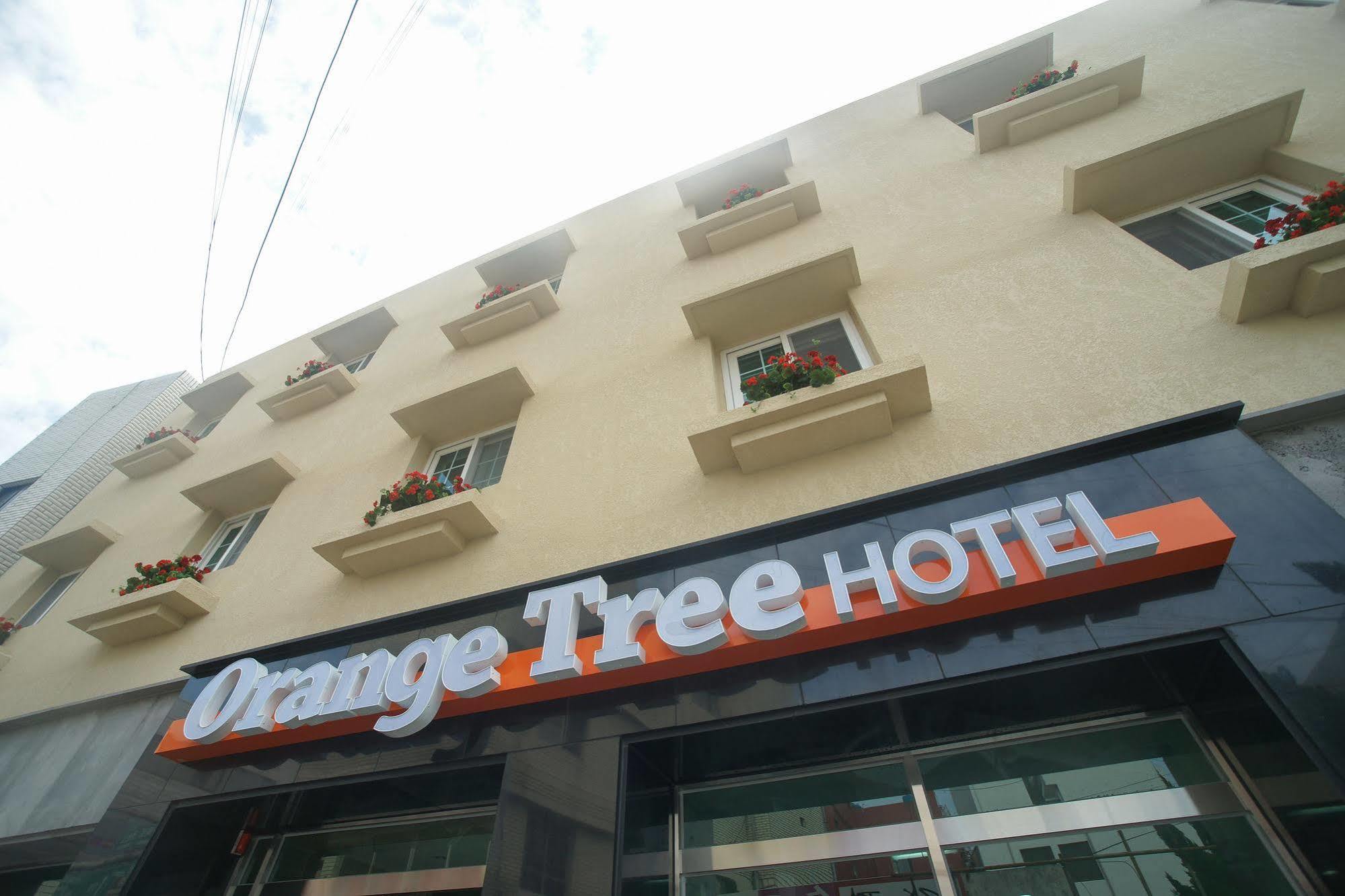 Orange Tree Hotel Jeju Exterior foto